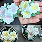 Molde Silicona Flor de Petalos Aromaterapia Velas 7 X 6,6 CM - Miniatura 7
