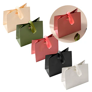 Bolsa De Regalo Diseño Plegable Lujo Duradera Colores 22 X 18 X 8.5 CM