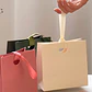 Bolsa De Regalo Diseño Plegable Lujo Duradera Colores 22 X 18 X 8.5 CM - Miniatura 8