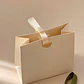 Bolsa De Regalo Diseño Plegable Lujo Duradera Colores 22 X 18 X 8.5 CM - Miniatura 26