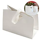Bolsa De Regalo Diseño Plegable Lujo Duradera Colores 22 X 18 X 8.5 CM - Miniatura 13