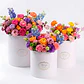 Set 3 Cajas Kraft Cilindrico Ramo de Flores Decoración Fiestas Colores - Miniatura 2