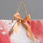 Bolsas de Lujo Coloridas para Regalo 28 X 20 X 10 CM - Miniatura 17