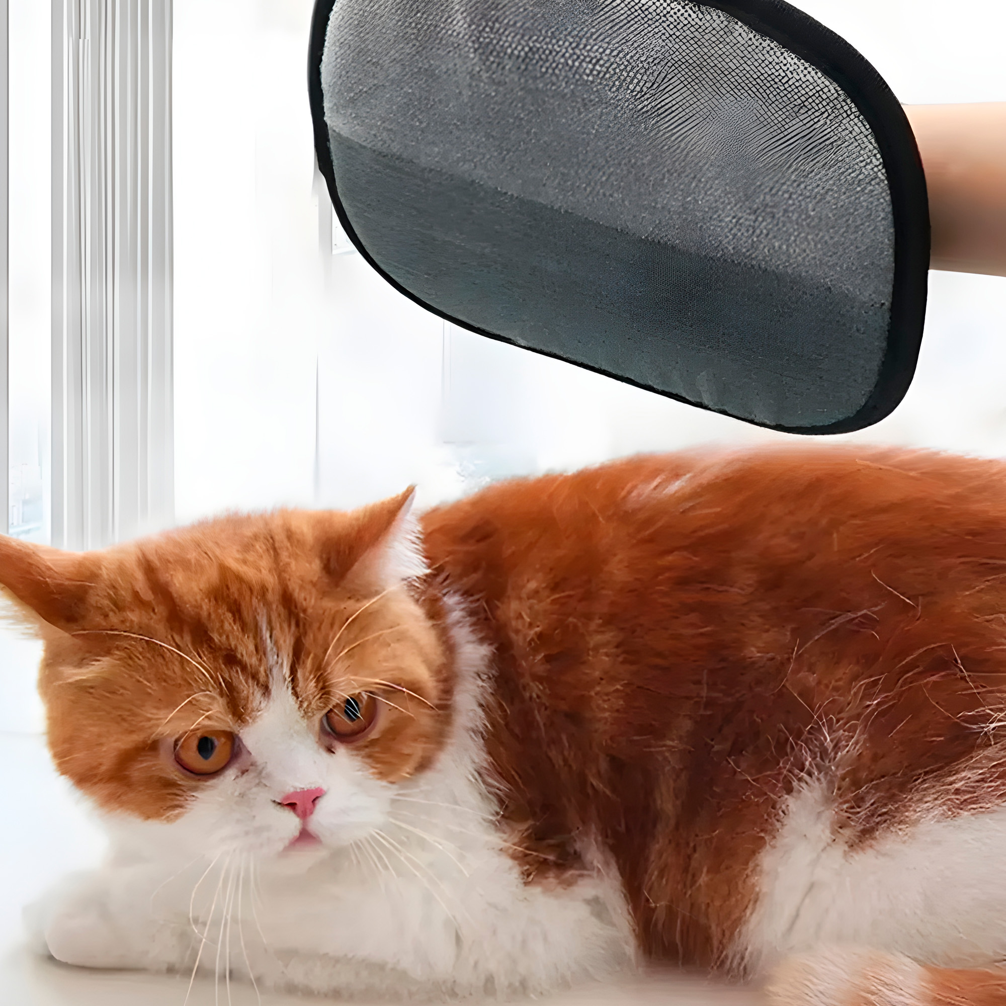 Guante Quita Pelos De Mascotas Perro Gato Removedor De Pelos 9