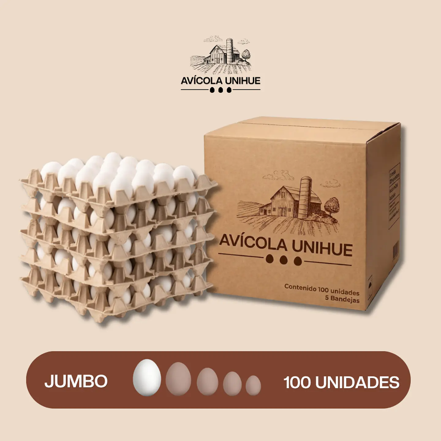Huevos Jumbo 100 Unidades de Gallinas Libres de Jaula  1