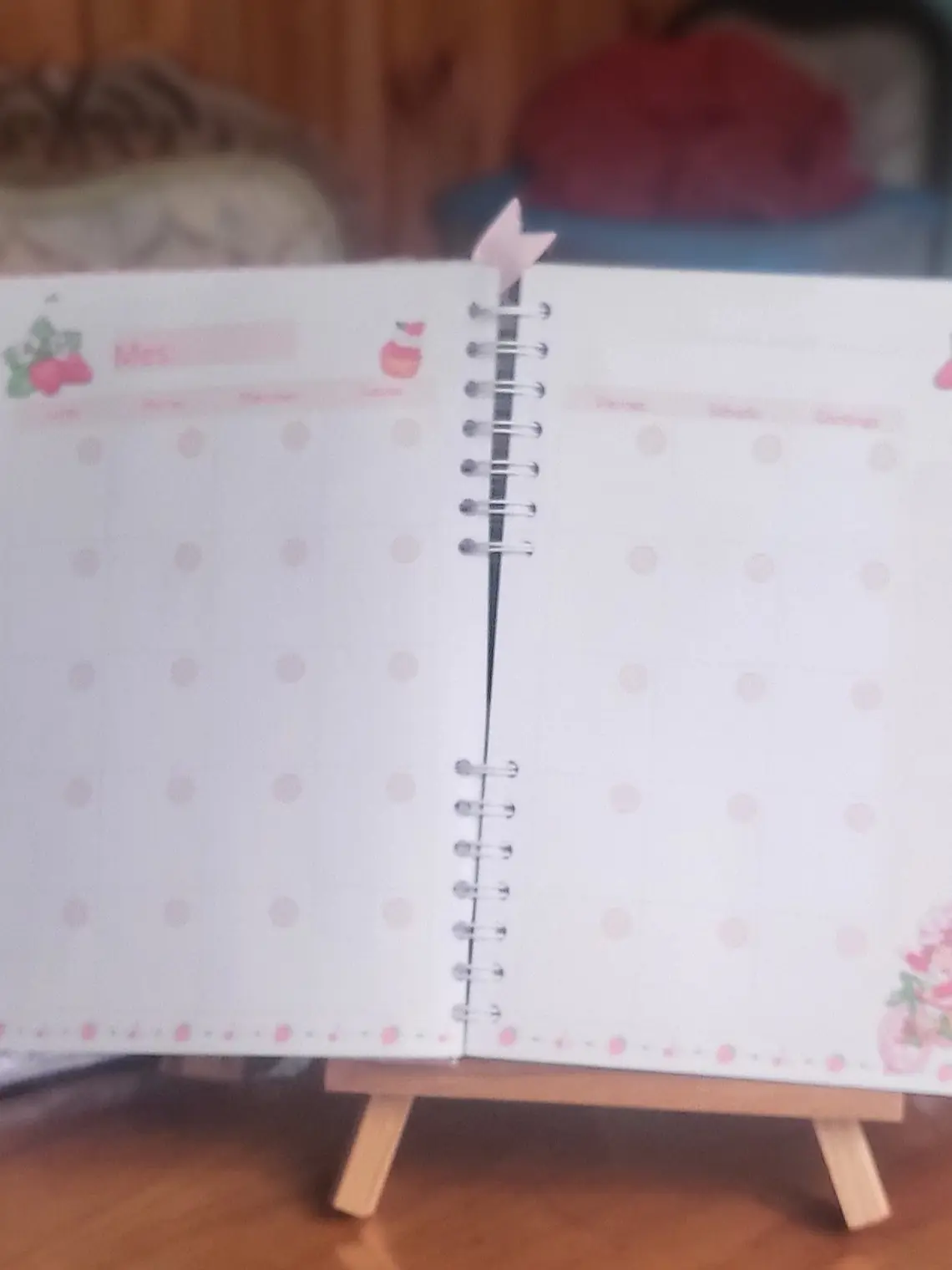 Agenda frutillita  3