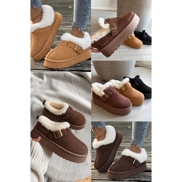 Zapato hebilla