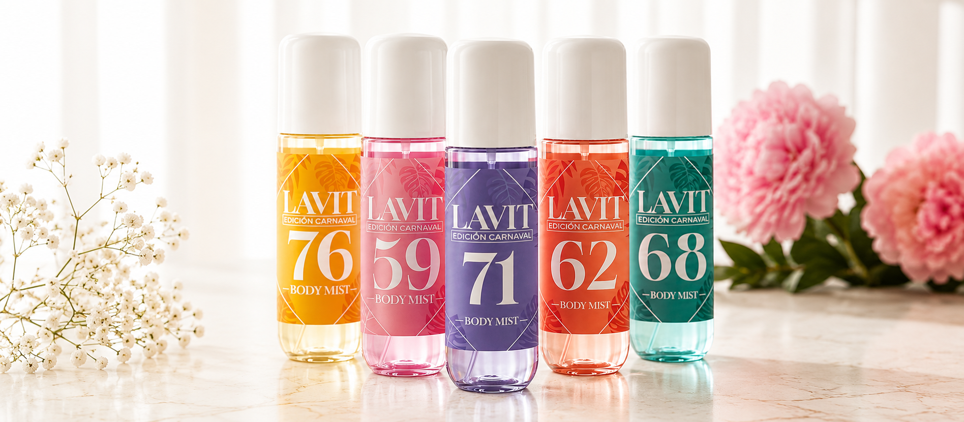 LAVIT CARNAVAL