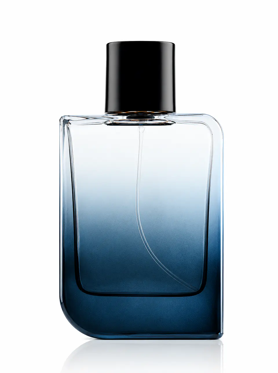 H41 INSPIRADO EN ✨ BLEU DE CHANEL ✨ 1