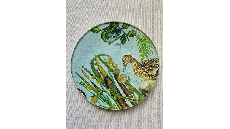 Pack de 2 Individuales Tunquén + 2 platitos pato 3