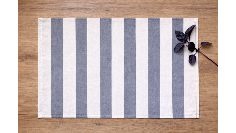 Set de 6 Individuales Ranco 1