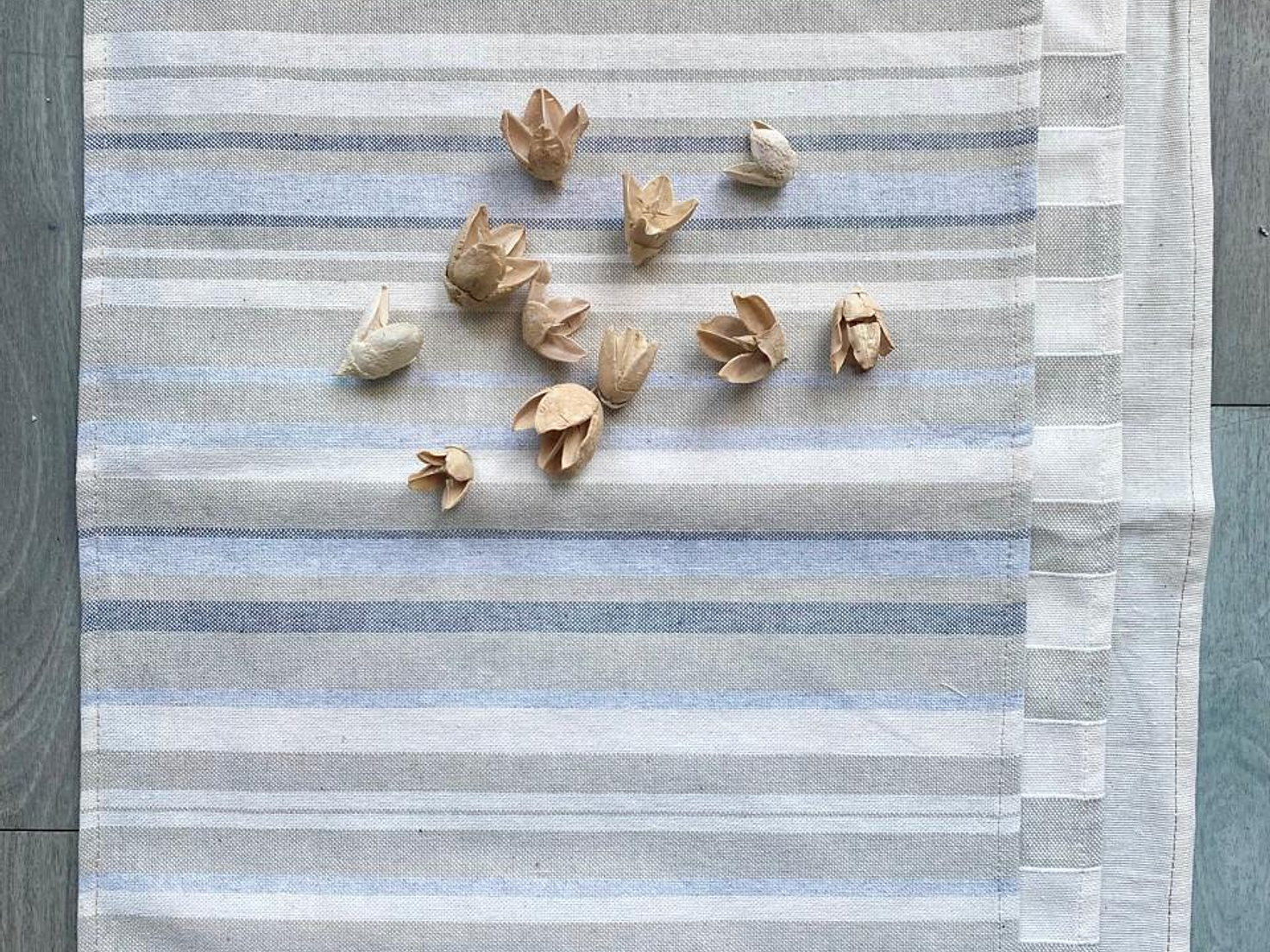 <b>Individuales</b><br>
<br>
<br>
<br>