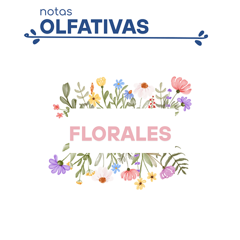 F29 Inspirado en "212" 