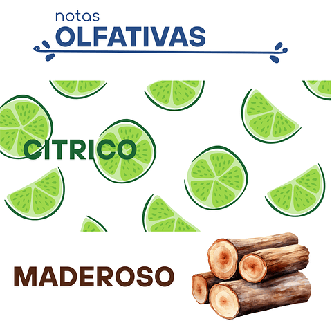 F58 Inspirado en "Libre" de Yves Sant Laurent