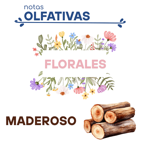 F22 Inspirado en "Woman" de Ralph Lauren