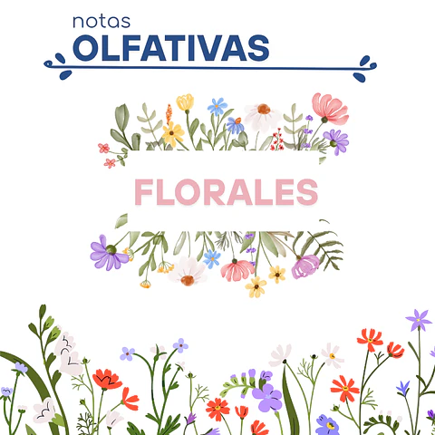 F18 Inspirado en "Carolina Herrera" de Carolina Herrera