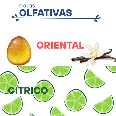 F14 Inspirado en "CH"