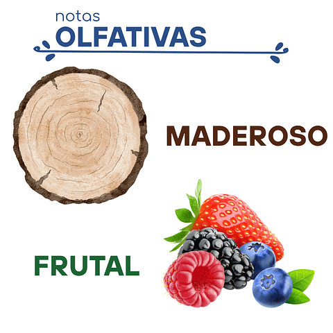 H19 Dupe "Fahrenheit" de Christian Dior