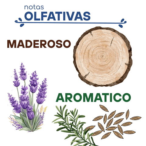 H30 Dupe "Light Blue" de Dolce & Gabbana