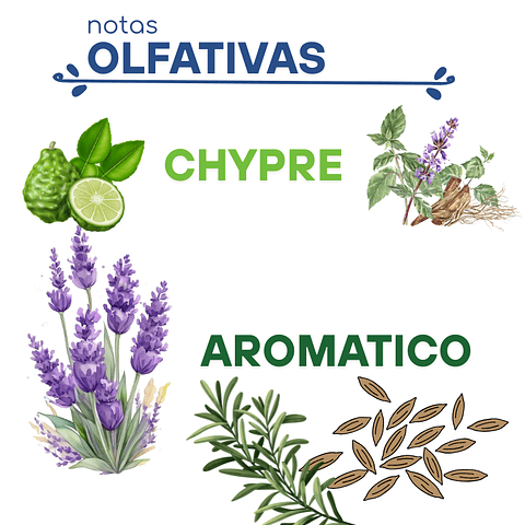 H03 Dupe "Quorum" de Puig