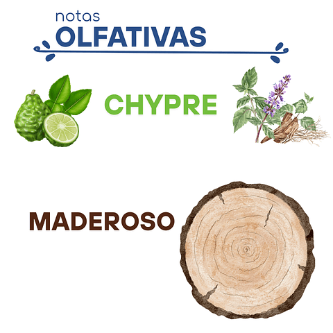 H12 Dupe "Ted Lapidus por Homme" de Ted Lapidus