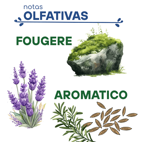 H15 Dupe "Sauvage Elixir" de Christian Dior