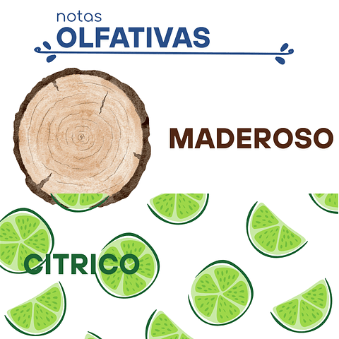 H22 Dupe "Acqua Di Gio Pour Homme" de Giorgio Armani