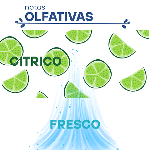 H26 Dupe "CK One" de Calvin Klein