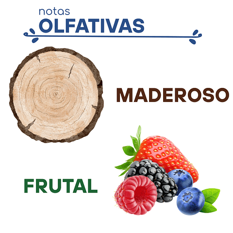 H27 Inspirado en "XS Black Men" de Paco Rabanne