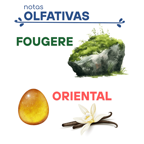 H33 Inspirado en "Le Bleu" de J.P. Gaultier