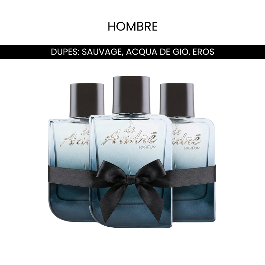 Pack 3 Perfumes- Inspirados en las fragancias más deseadas - HOMBRE 1