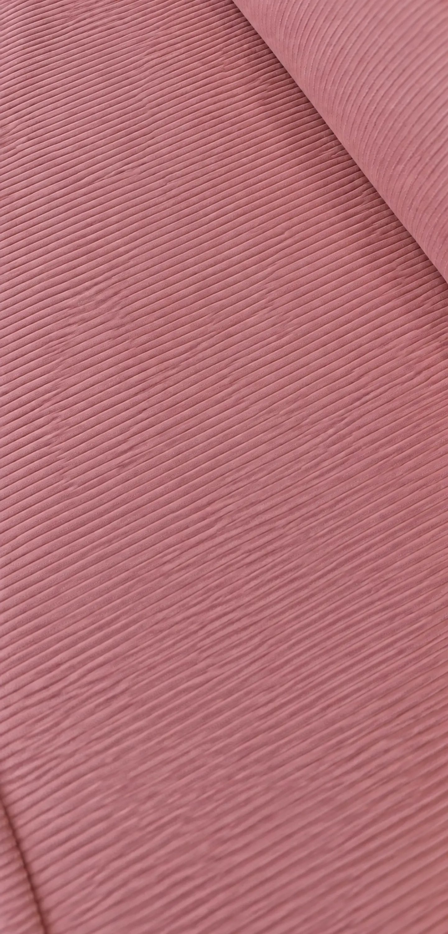 Tela pana Rosa  1