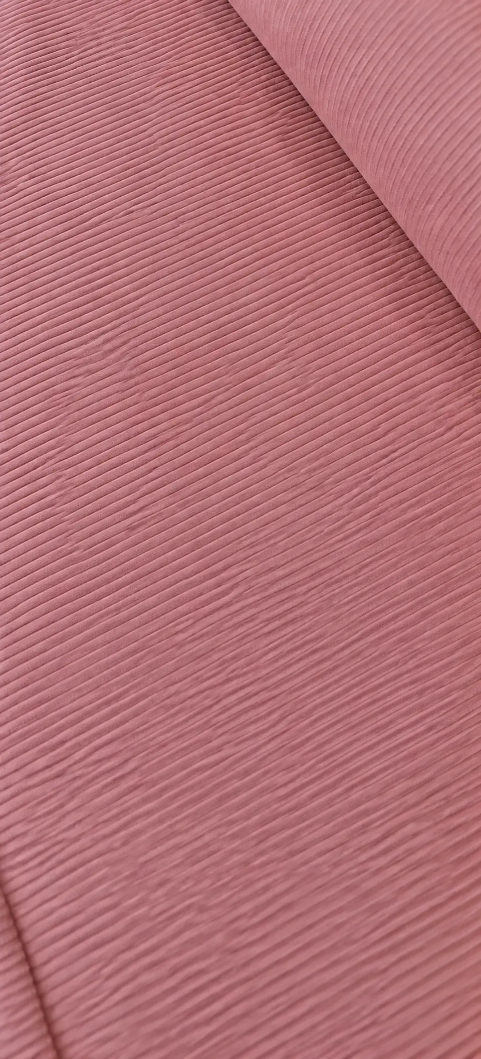 Tela pana Rosa  1