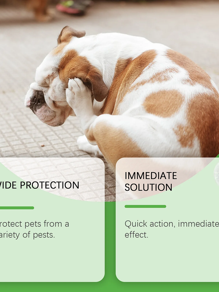 YEGBONG - Spray antipulgas para mascotas (50 ml), hipoalergénico, suave y eficaz para el cuidado del pelaje de perros y gatos, con fórmula vegetal no tóxica. 7