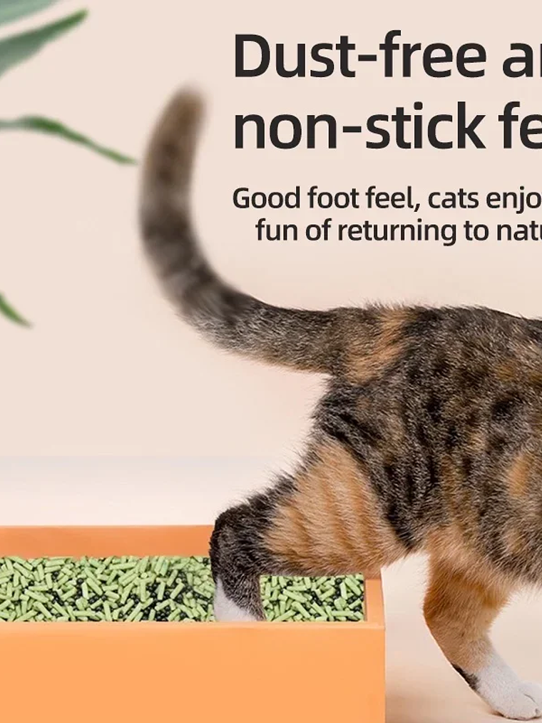 Perlas desodorantes para gatos, 6 sabores, aromáticas, para la caja de arena de gatos, suministros de limpieza para mascotas 16