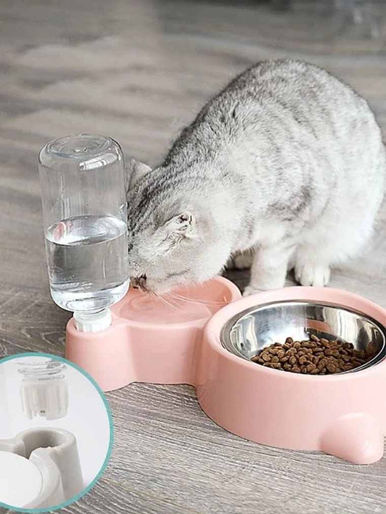 Dispensador de agua para mascotas, para gatos y perros, almacenamiento automático de agua, tazón de comida para mascotas, contenedor de comida con bebedero, suministros para mascotas 2