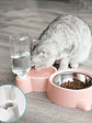 Dispensador de agua para mascotas, para gatos y perros, almacenamiento automático de agua, tazón de comida para mascotas, contenedor de comida con bebedero, suministros para mascotas - Miniatura 2