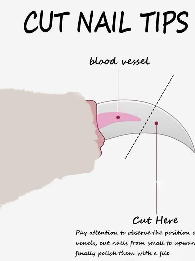 Cortaúñas para mascotas, cortaúñas para perros y gatos, cuidado de garras para mascotas, suministros para el cuidado de mascotas, cuidado de mascotas 3