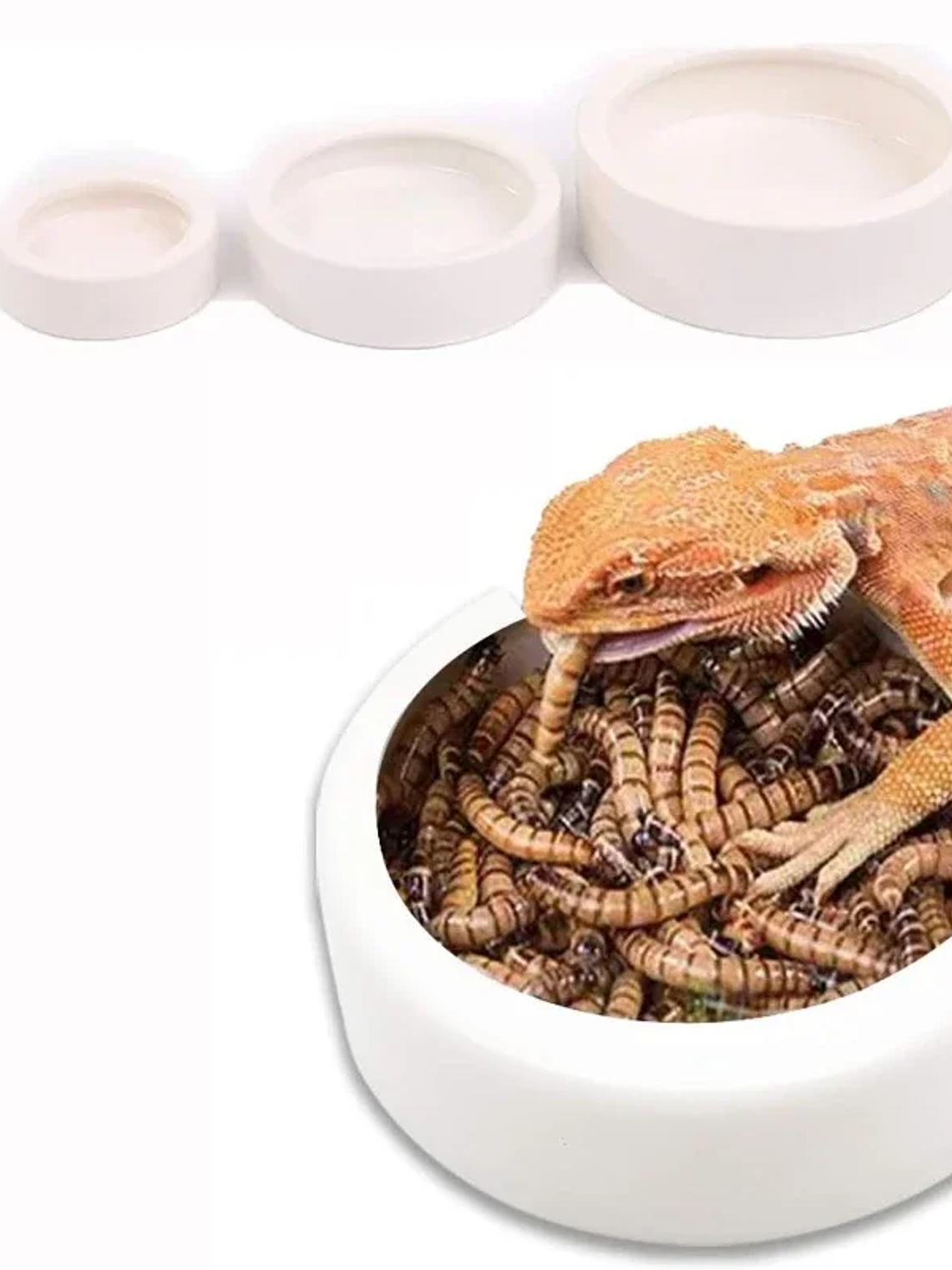 Dispensador de agua para mascotas, para gatos y perros, almacenamiento automático de agua, tazón de comida para mascotas, contenedor de comida con bebedero, suministros para mascotas 10