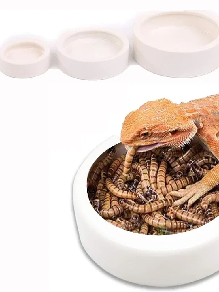 Dispensador de agua para mascotas, para gatos y perros, almacenamiento automático de agua, tazón de comida para mascotas, contenedor de comida con bebedero, suministros para mascotas 10