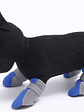 Zapatos Para Perros y cachorros, Fondo suave Para exteriores Para gatos, Botas de lluvia Para Chihuahua, Botas impermeables, Perros, Mascotas, Botas, zapato Para Cachorro - Miniatura 17