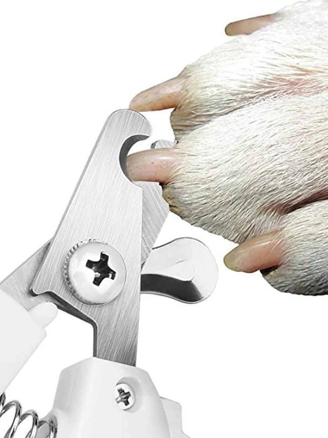 Cortaúñas para mascotas, cortaúñas para perros y gatos, cuidado de garras para mascotas, suministros para el cuidado de mascotas, cuidado de mascotas 7