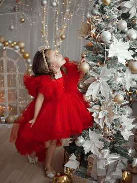 Vestido Libelula Roja