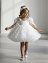 Vestido Mariposas Corto