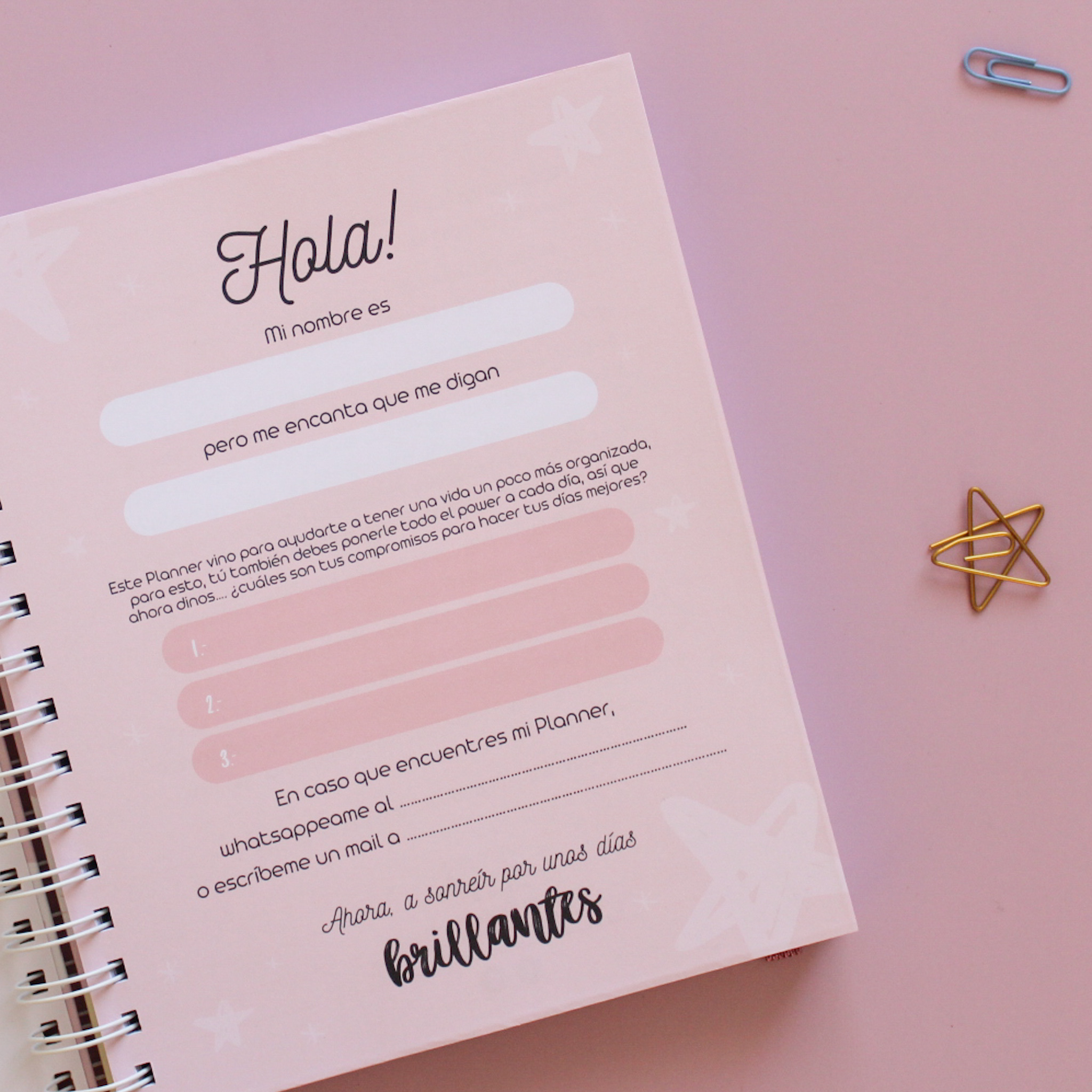 Planner personalizado almendro van gogh
