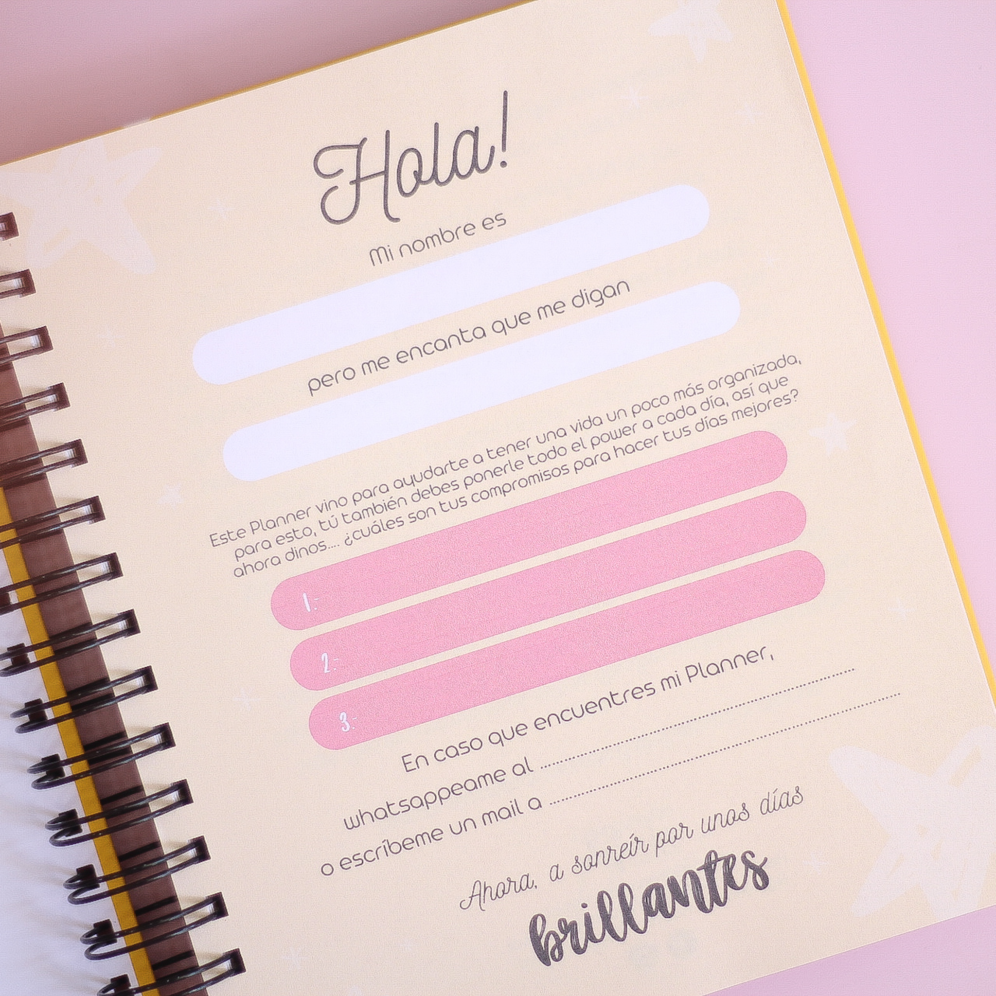 Planner Diario Personalizado