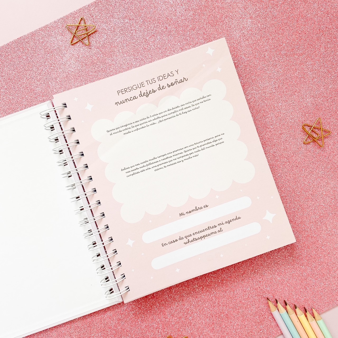 Súper Planner Aurora / Agenda Personalizada