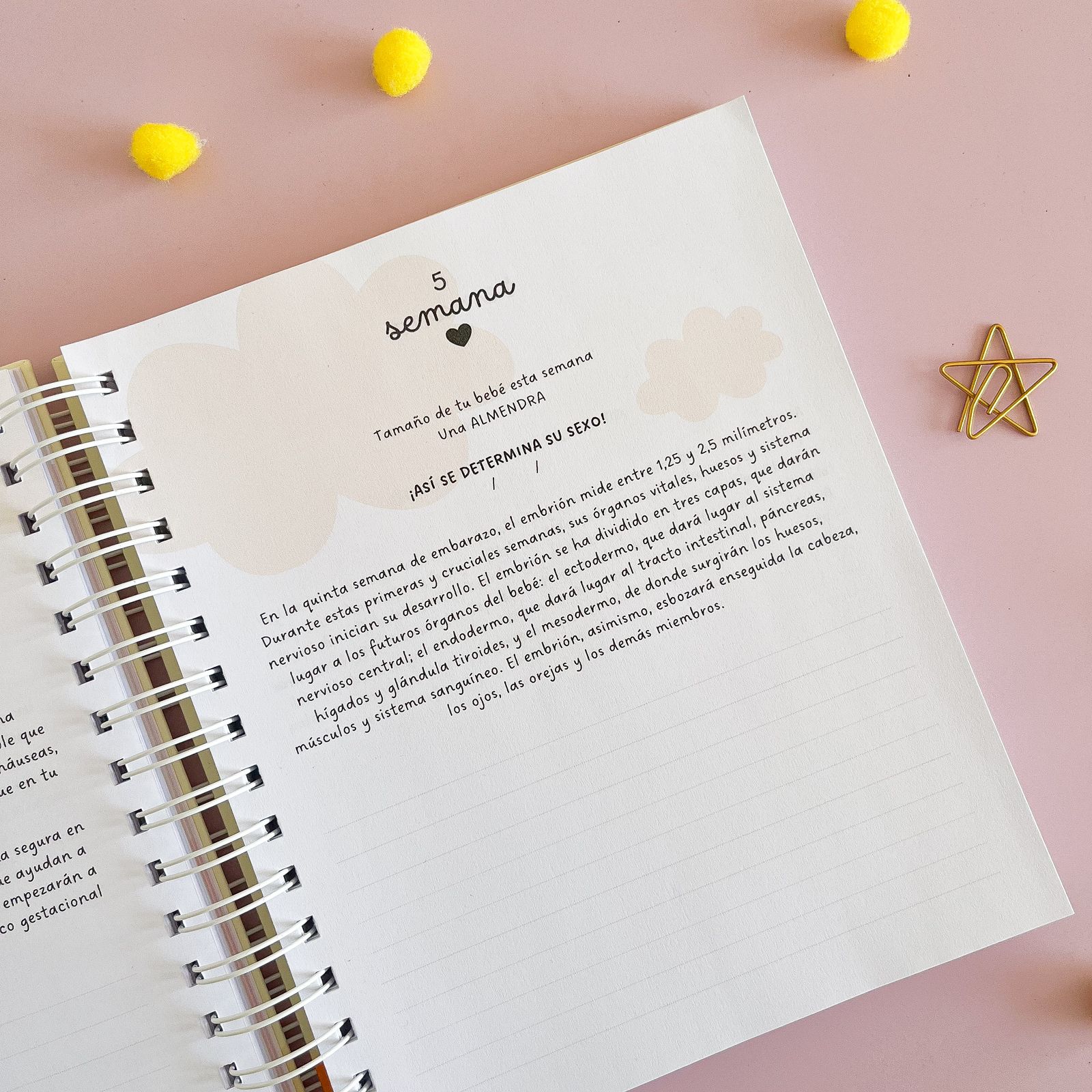 Súper Planner Calma / Agenda Personalizada