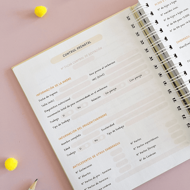 Agenda Prenatal Personalizada