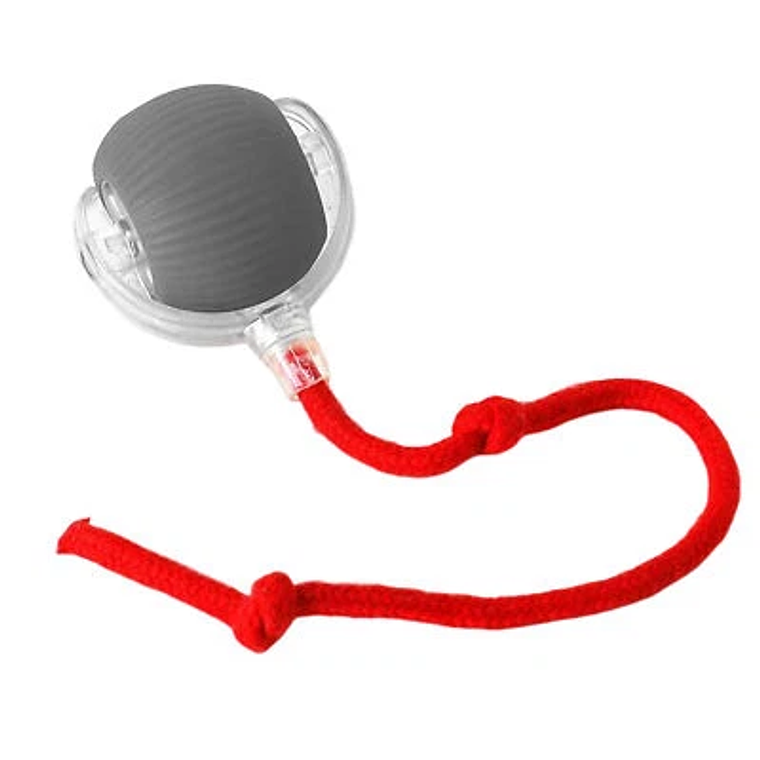 Pelota interactiva con cola 2